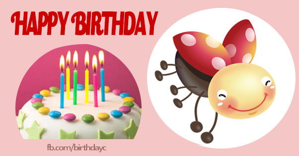 Ladybug birthday celebration