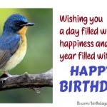 bird birthday card