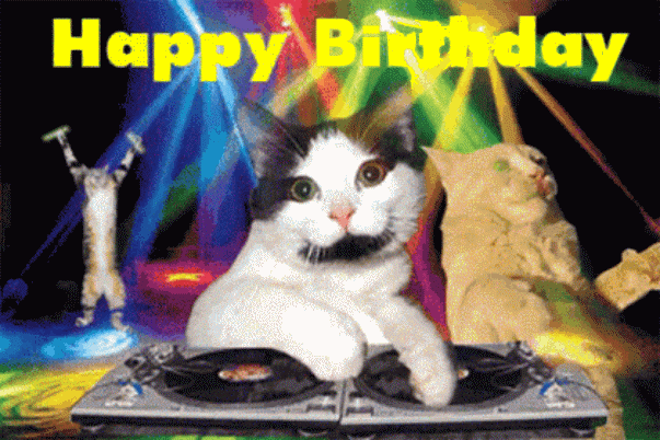 Birthday celebration with dj cat gif
