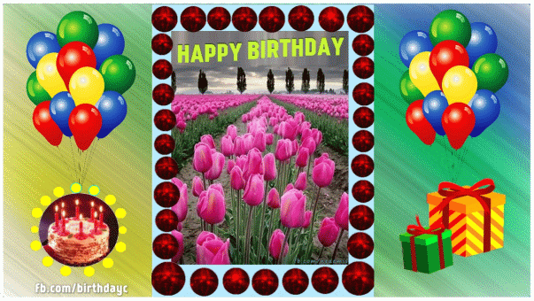 Rose field, birthday greeting card | Birthday Greeting 