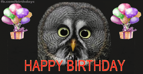 Owl picture, Birthday Greeting Card