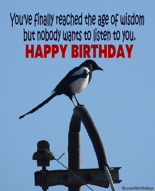 Funny Birthday Wishes | Birthday Greeting 