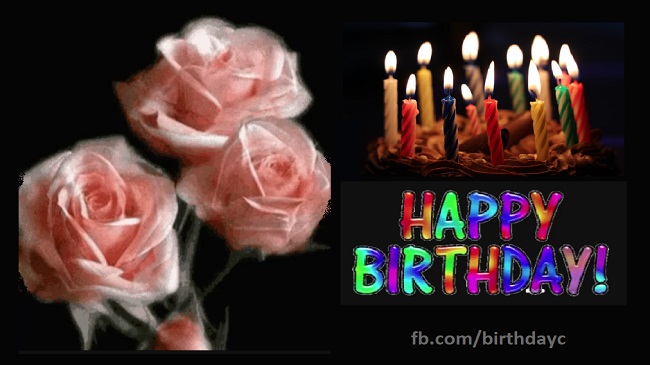 Pink Roses, birthday gif message