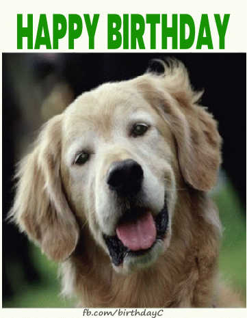 Birthday greeting card with cute dog image
