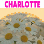happy Birthday Charlotte