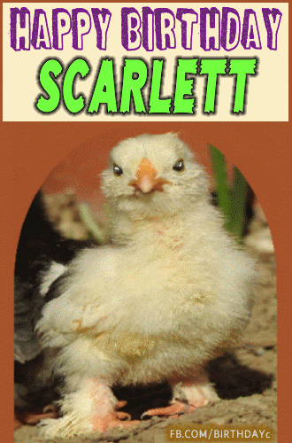 Happy Birthday Scarlett