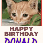 Happy Birthday Donald